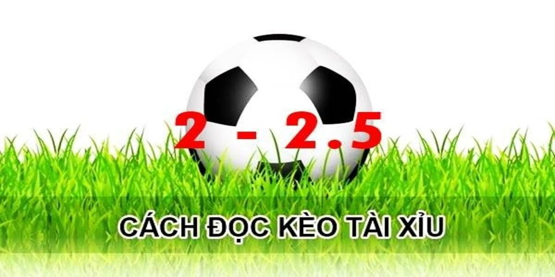Lưu ý khi tham gia kèo tài xỉu 2 2.5 là gì?