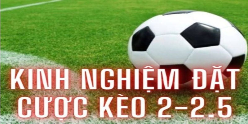 Kinh nghiệm lựa chọn kèo tài xỉu 2 2.5 là gì?