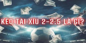 kèo tài xỉu 2 2.5 là gì thumb