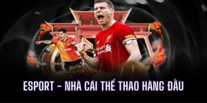 ảnh đại diện e sport vb88
