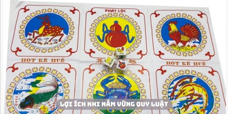 Hội viên sẽ nhận được lợi ích khi nắm vững quy luật bầu cua
